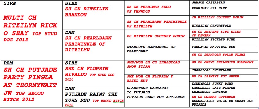 Pasted Graphic
