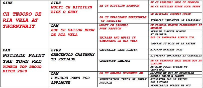 Pasted Graphic 2