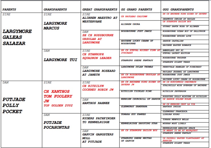 Pasted Graphic 2