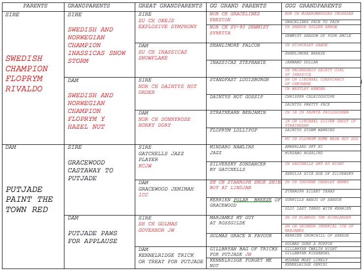 Pasted Graphic 1