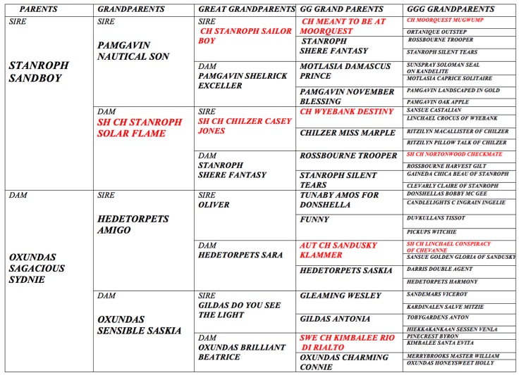 Pasted Graphic 2