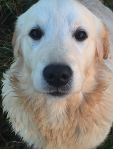 Screen Shot 2016-12-28 at 18.38.18